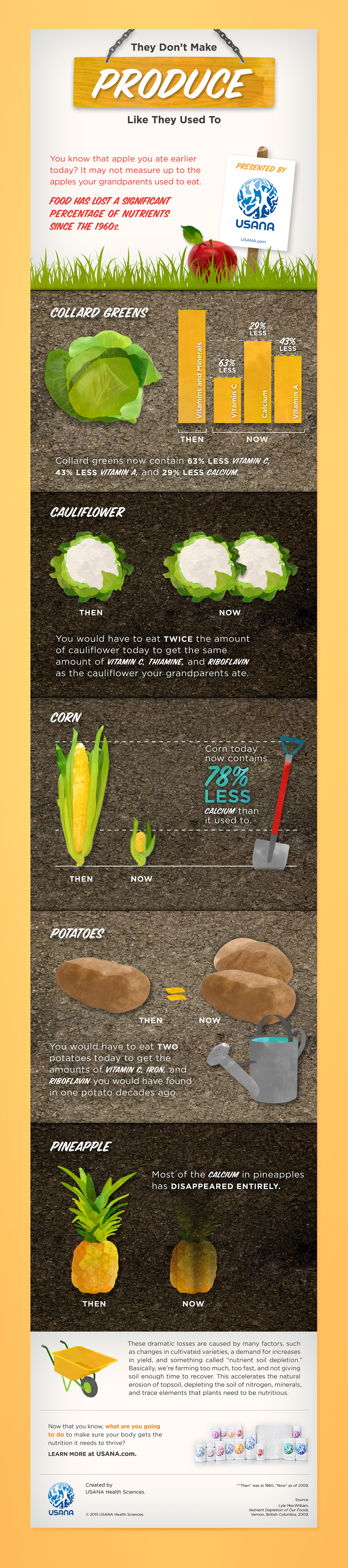 Infographic Nutrient Depletion